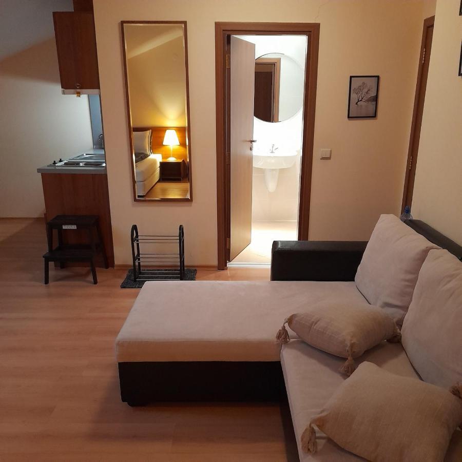 Studio Villa Park 410 Μπόροβετς Εξωτερικό φωτογραφία